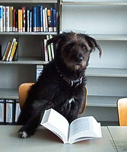 rupert der bibliothekshund